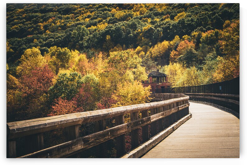 Autumn on Nesquehoning Bridge by Jason Fink