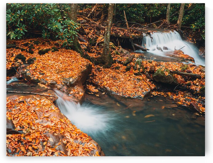 Buck Mountain Creek Autumn Falls by Jason Fink
