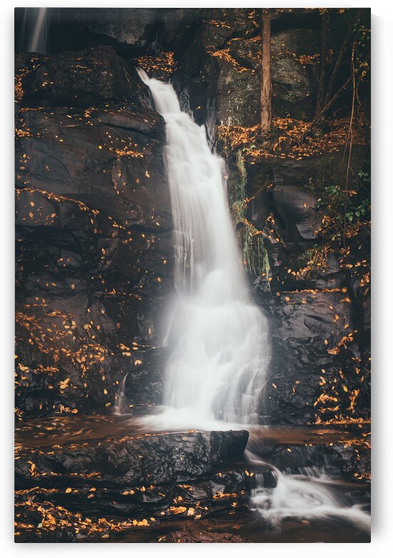 Autumn Leaves on Buttermilk Falls by Jason Fink