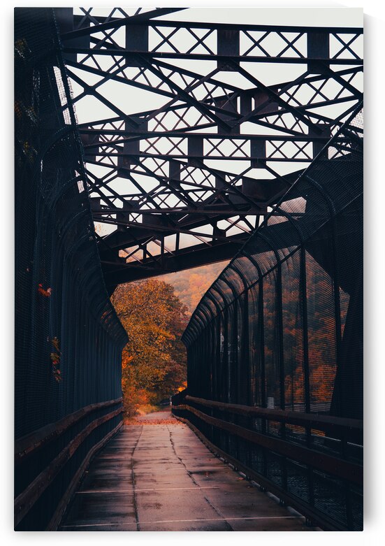 DL Trail Fenced In Autumn by Jason Fink