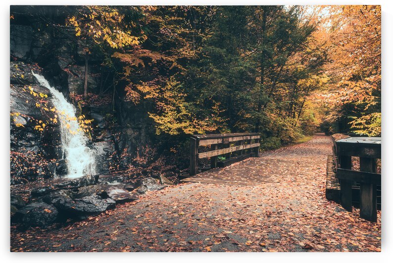 Buttermilk Falls and DL Trail in Autumn by Jason Fink