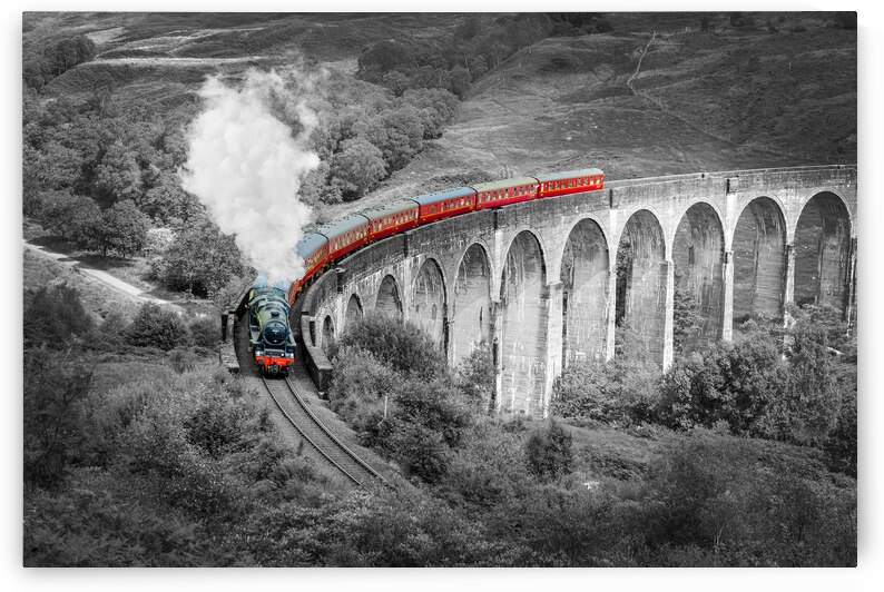 Harry Potter train on Glenfinnan viaduct by DELPHIMAGES