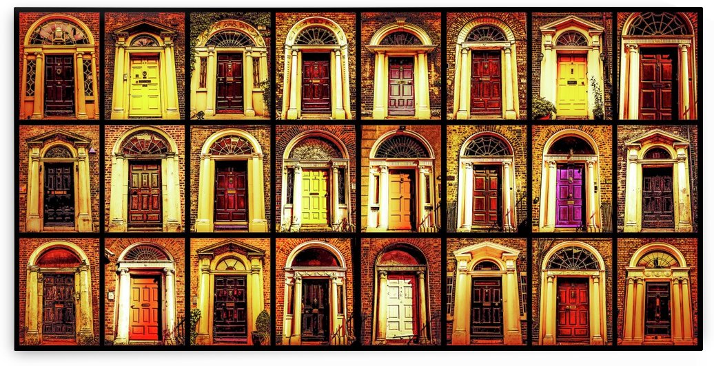 Georgian Doors of Dublin 3 by Lexa Harpell