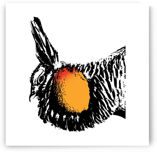 Greater Prairie Chicken by Joe Riederer