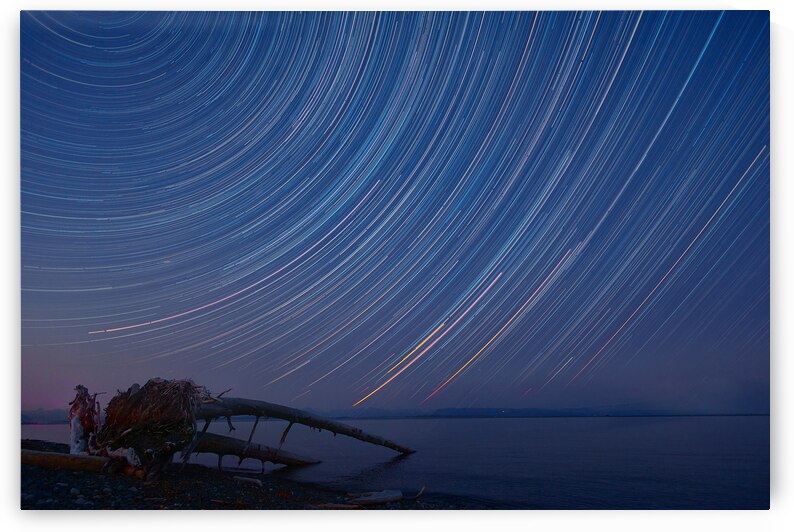 Oyster Bay Overnight by Kelly Corder