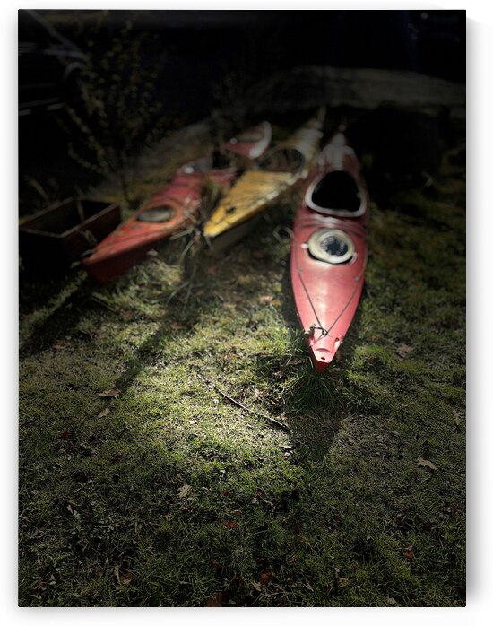 Everyday Lifes Moments- High and Dry by Catriona Roberts Nature Photography and Designs