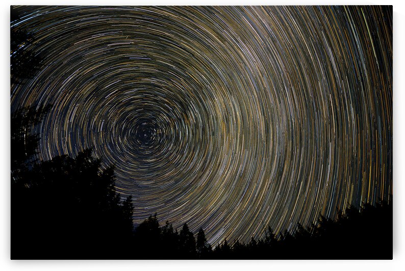 Treeline Trails 01 by Kelly Corder