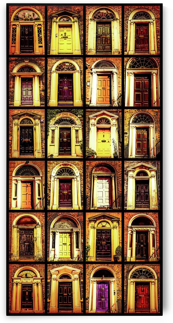 Georgian Doors of Dublin 4 by Lexa Harpell