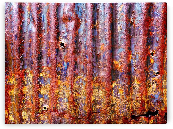 Corrugated Iron Series 20 by Lexa Harpell