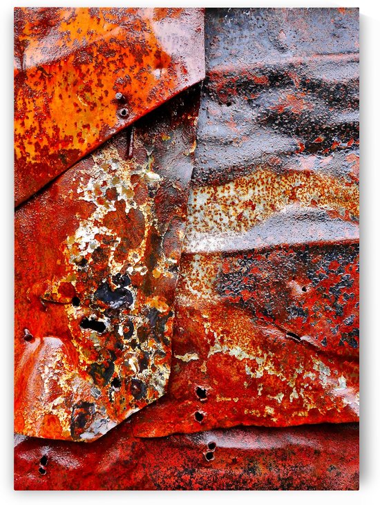 Corrugated Iron Series 21 by Lexa Harpell