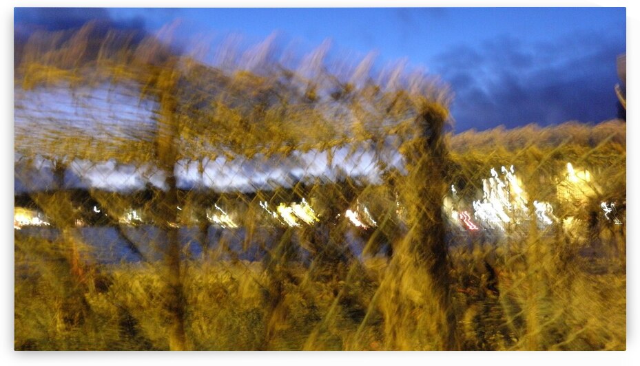 imaginary dream by Carinou Art