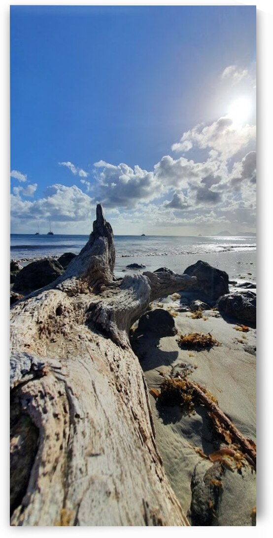 lying on the beach by Carinou Art