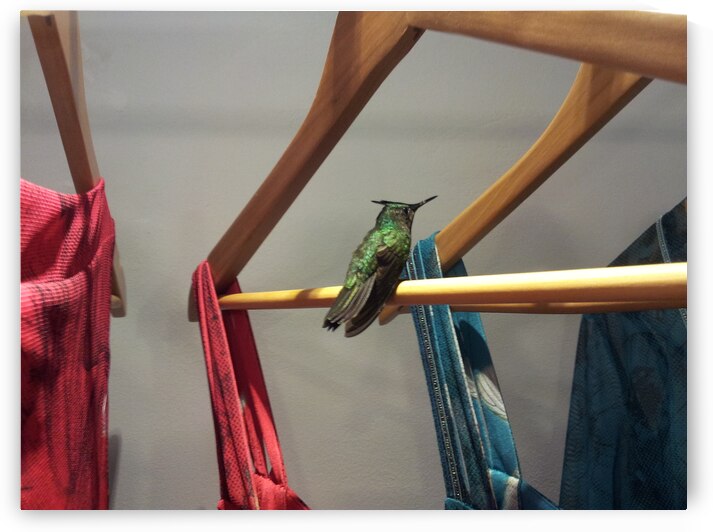 it s not my size by Carinou Art