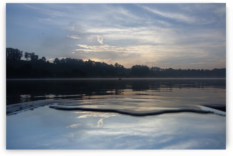 mirror by Carinou Art