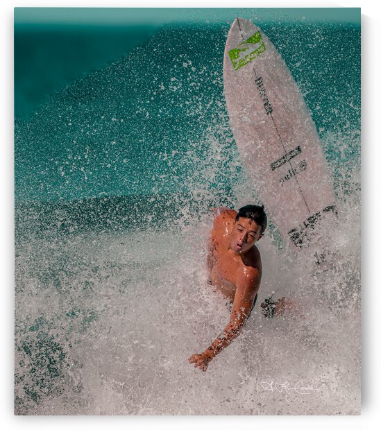 BZ9 9370 by Susan Lynn Cooke