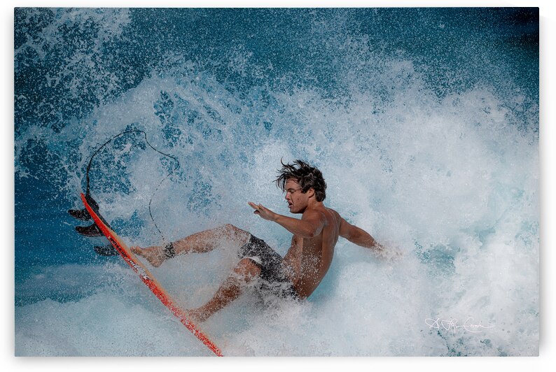 BZ9 1076 by Susan Lynn Cooke