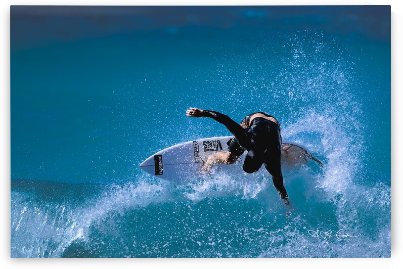 BZ9 2580 Enhanced NR by Susan Lynn Cooke