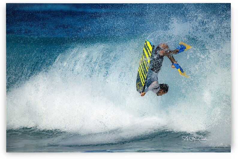 BZ9 7923 Enhanced NR by Susan Lynn Cooke