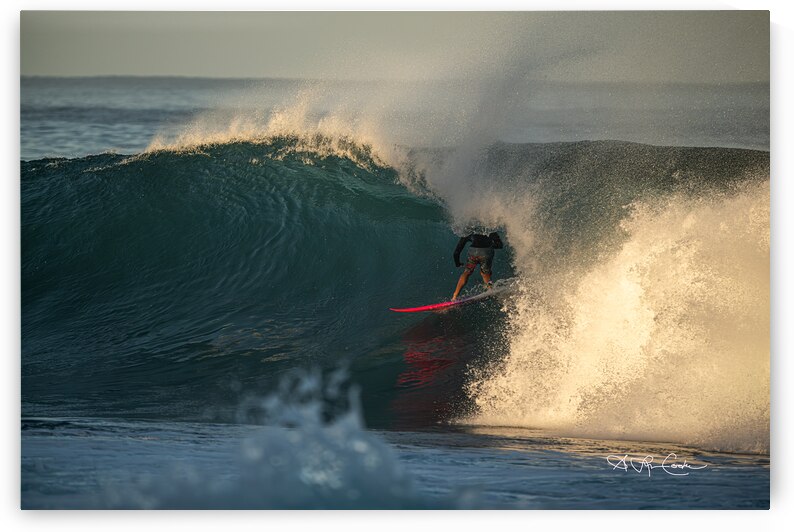 BZ9 1838 Enhanced NR by Susan Lynn Cooke