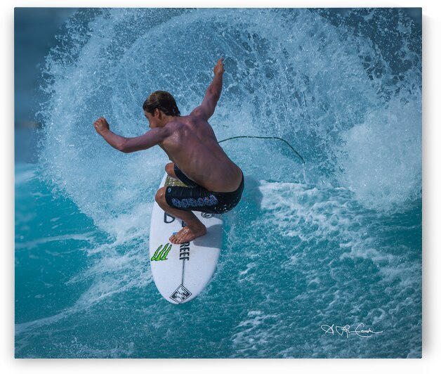 BZ9 8616 Enhanced NR by Susan Lynn Cooke