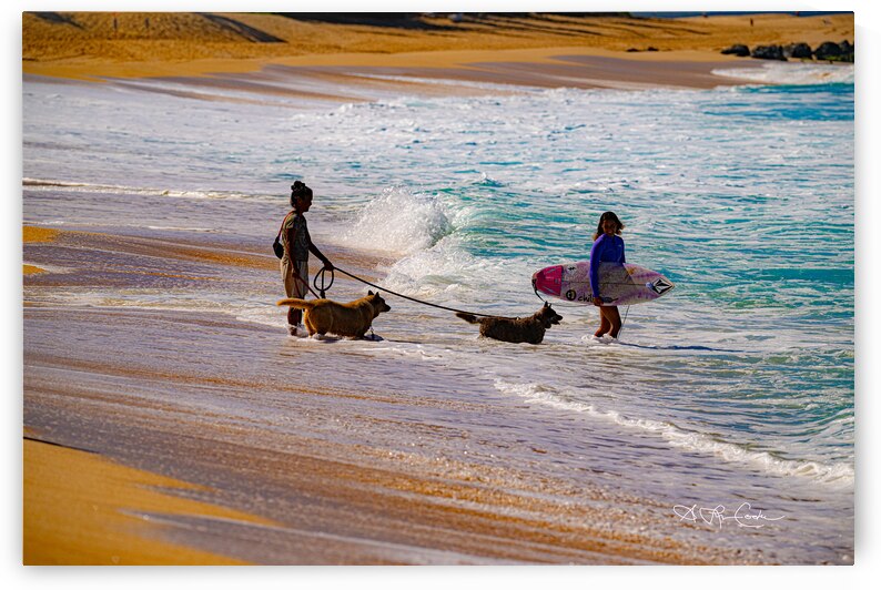 BZ9 1688 by Susan Lynn Cooke