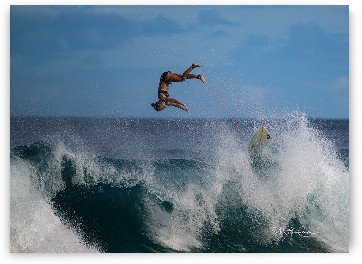 BZ9 6848 by Susan Lynn Cooke