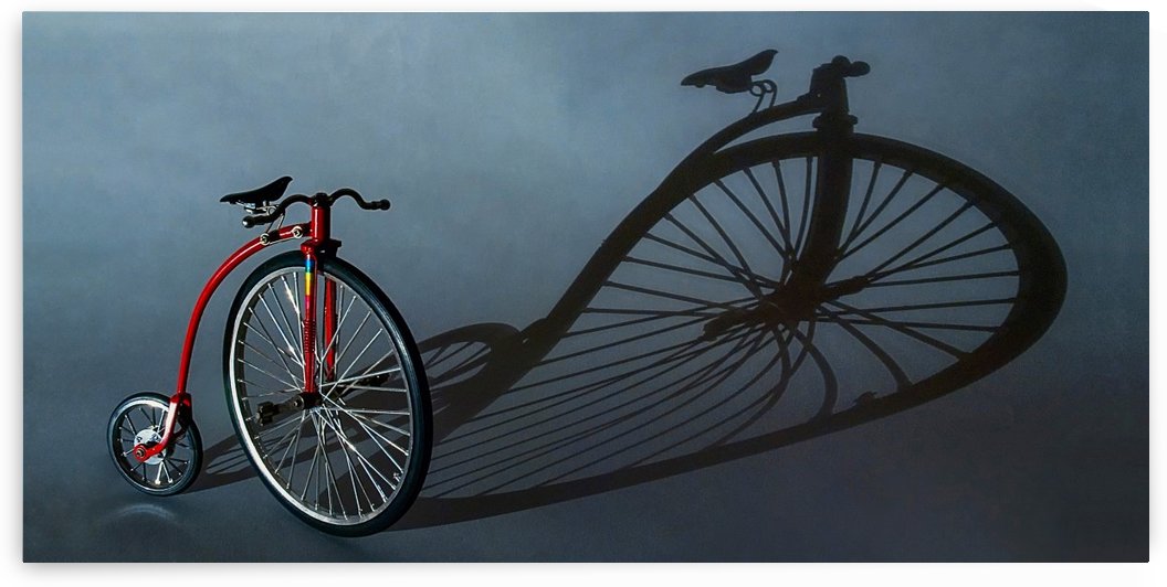 Old Bike by Lily Markovic