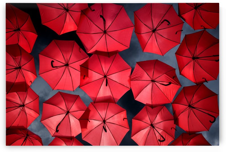 Street Cover by Lily Markovic