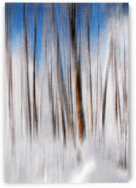 Winter by Lily Markovic