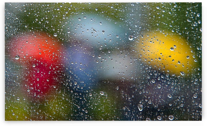 Summer Rain by Lily Markovic