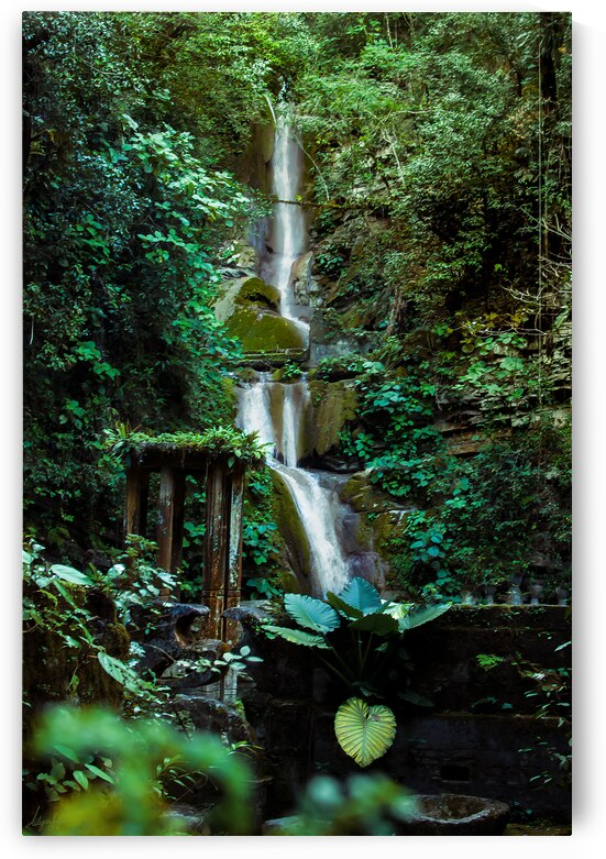 XILITLA by Miramarensis
