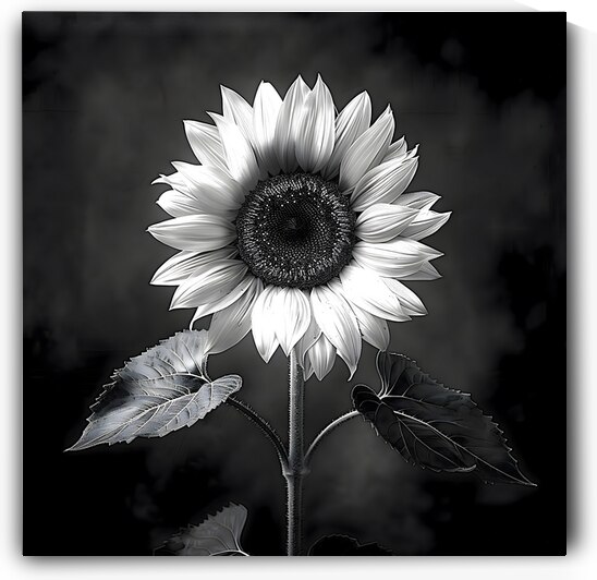 Sunflower Selfie 1 - Sunflower Portrait Art Prints by Savage Art Prints