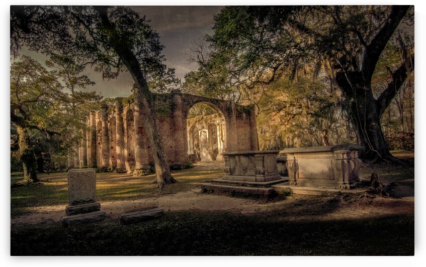 Old Sheldon Church Autumn by Norma Brandsberg Photography