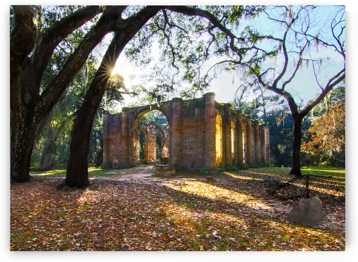 Old Sheldon Church Sunbeam Antiquity by Norma Brandsberg Photography