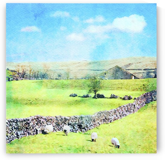 Yorkshire Dales with Dry Stone Wall and Sheep Watercolour by Travelling Light