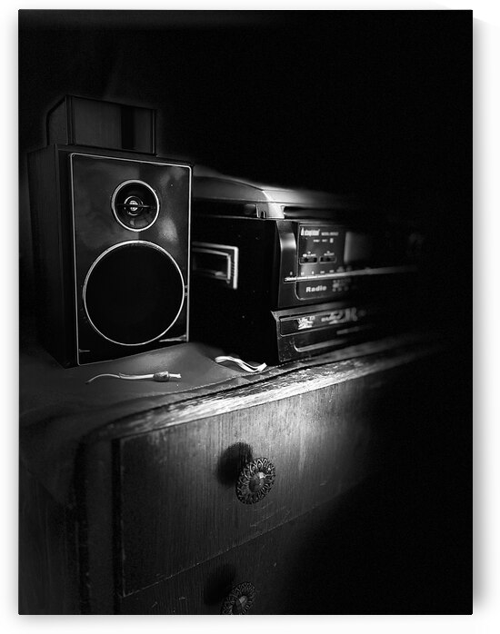 Everyday Lifes Moments -Distant Memories in Black and White by Catriona Roberts Nature Photography and Designs