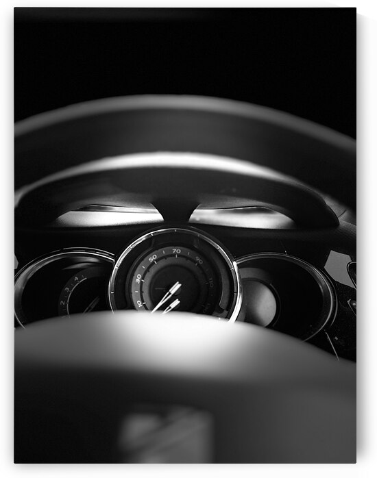 Everyday Lifes Moments- The Car by Catriona Roberts Nature Photography and Designs