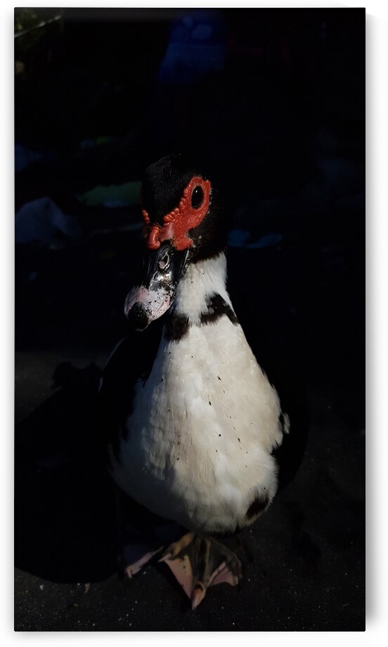 family portrait by Carinou Art