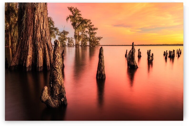 Attakapas Afterglow by Andy Crawford