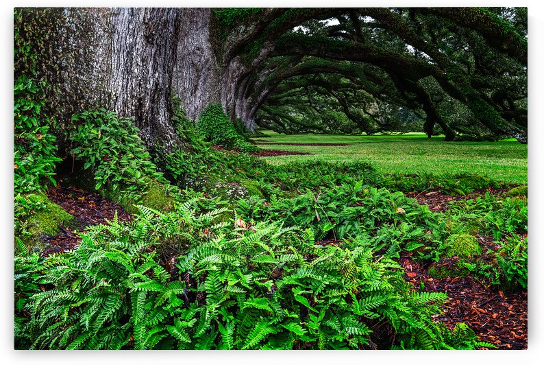 Resurrection in the Alley by Andy Crawford