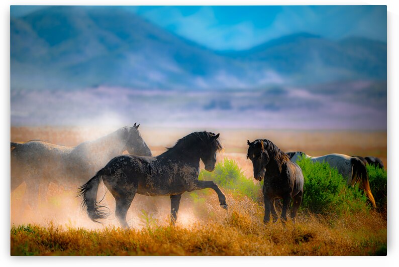 BZ9 8669 Enhanced NR 3 by Susan Lynn Cooke