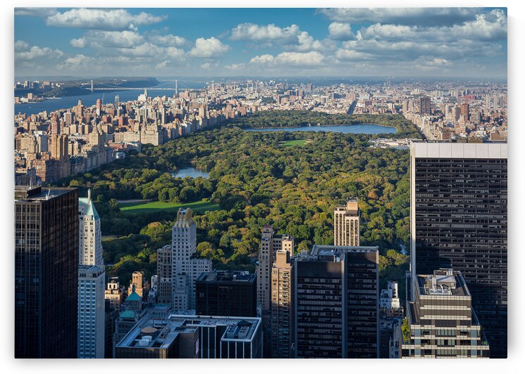 Central Park by Dave Bowman