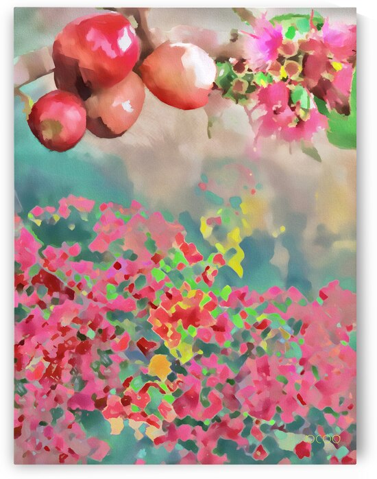 Pommes deau on smokey Bougainvillieas  by Sibcod