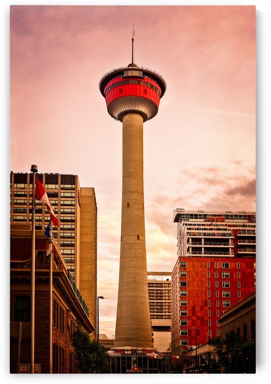 Calgary tower at sunset by DELPHIMAGES