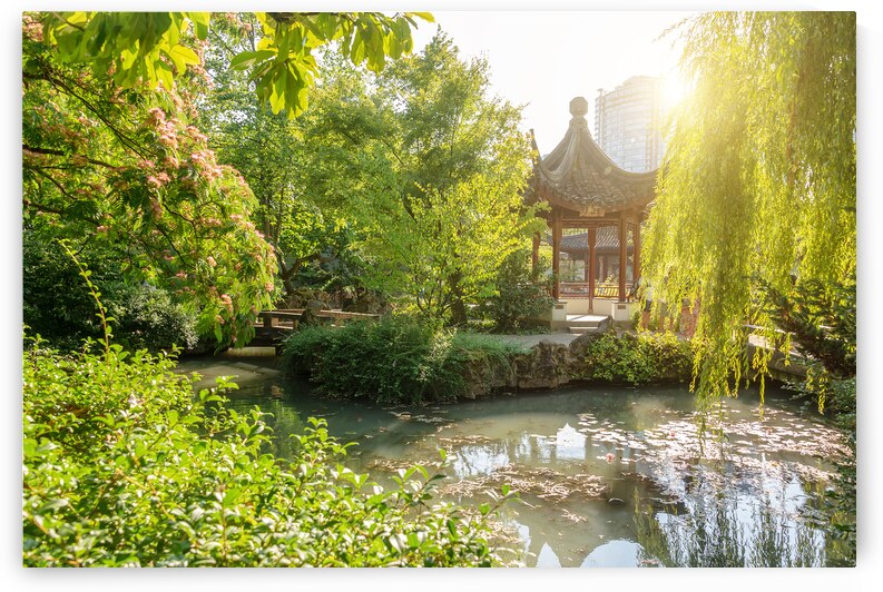 Chinese garden in Vancouver by DELPHIMAGES