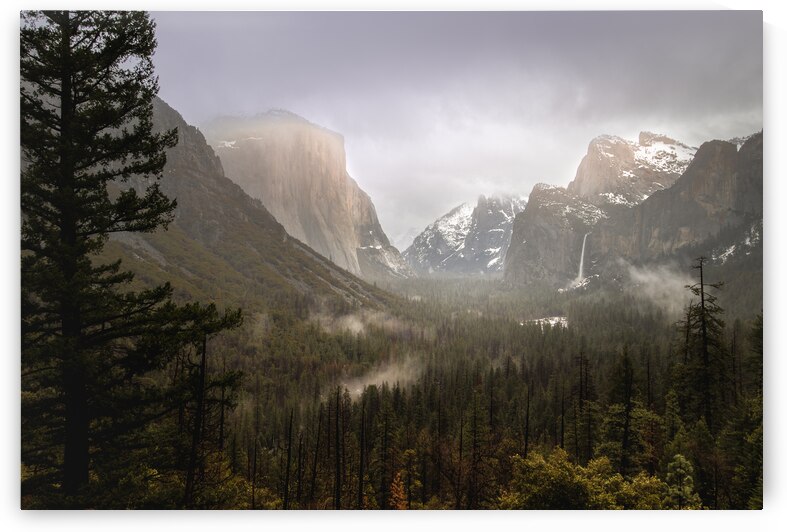 Yosemite in Winter Snow and Fog by Norma Brandsberg Photography