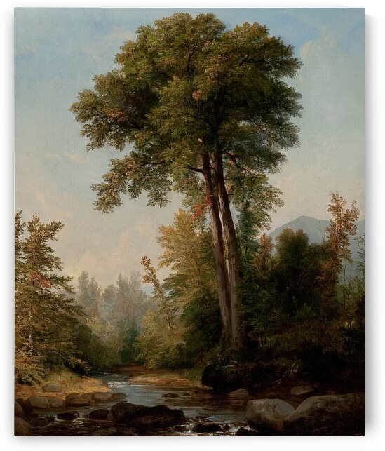 A Natural Monarch [1853] by Asher Brown Durand [1796–1886] by MyCozyFineArt