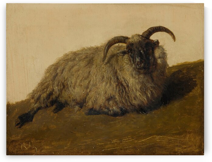 Le Mérinos [The Merino] by Rosa Bonheur [1822–1899] by MyCozyFineArt