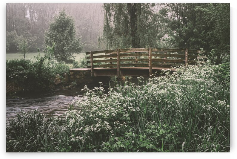 Cedar Creek Park   Wildflowers by the Creek by Jason Fink