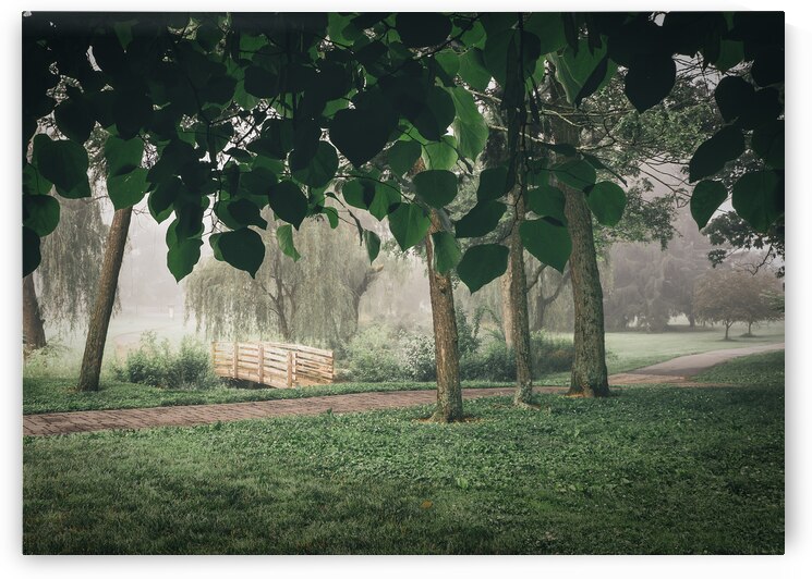 Cedar Creek Park View from Under the Trees by Jason Fink